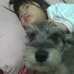 (사진有)22개월 아기와 5살 강아지의 육아일기~