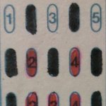 ※※※※※ 이해할수 없는 정신세계 ※※※※※