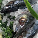 사진有)흔한 예비대학생의 마트 <b>수산물</b>코너 일상놀이 1 반응좋으면...