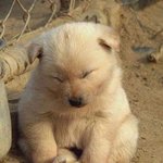 눈팅<b>족</b>...찌끄래기..