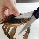 <b>앙</b><b>대</b>... 아 게슬퍼 ㅜㅜ