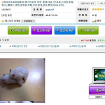 햄스터 <b>동심</b>파괴