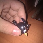 <b>비둘기</b>야 !!!