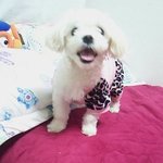 동생잃고 고아 데려왓어요.