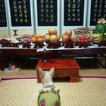 ★★★ 설날 <b>차례</b>지내는 우리 개님 ★★