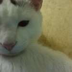 ☆꼭  <b>보샘</b>!!!☆