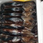 사진有)흔한 예비대학생의 마트 <b>수산물</b>코너 일상놀이 2 반응좋으면...