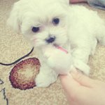 인천부평 에뛰x 조심하세요!