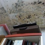 곰팡이와 10년이상 동거동락하고 있어요.