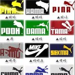 <b>대륙</b>의 통큰사기