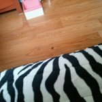 에피소드ㅋㅋㅋㅋㅋ