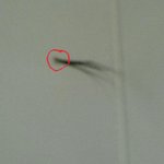 ★★★(사진有) <b>쌍테</b>를하다가ㅋㅋㅋㅋㅋㅋㅋ★★★