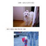 <b>강추</b>)엄마가 밥 먹으래