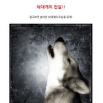 <b>늑대</b>의 혈통을 이어받은 늑대개의 진실!!!