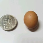울트라캡숑초미니달걀