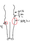 허벅지 셀룰라이트....