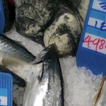 사진有)흔한 예비대학생의 마트 수산물코너 일상놀이 3 반응좋으면...