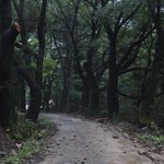 part.3 '3대 흉가' 곤지암 정신병원의 미스터리 part.3