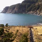 rlaalswl9312@nate.<b>com</b>