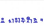 댓놀합시다14