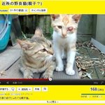 후쿠시마, <b>오염</b>제거 결국 포기..이런데도 이명박대통령은,?