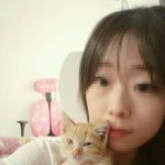 고양이판☜ 우리집 개같은 고양이