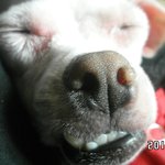 ★★★★제 2의 한글을 만들었서요!!!★★★★