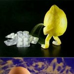 ★★★★음식아트 ★★★★