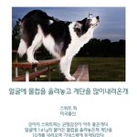 @@@@@(약~~~간<b>혐오</b>)세계기네스북 기록 보유자@@@@