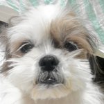 ★(사진, 동영상有)★ 웃긴 우리동생!! 자랑 하기 (개판) ★...