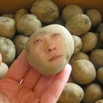 포<b>테토</b>칩 사진공개