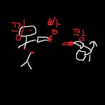 <b>코쿤</b> 만식이 죽여버리는 사진有