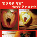 <b>피망</b>을 반으로 잘랐더니....