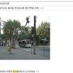 ▲▽▲▽▲▽ (사진有튜브)학과별다른시선▽▲▽▲▽▲