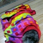 ☆8☆★★★★이글묻히긴진짜아까워요 ☆★☆★