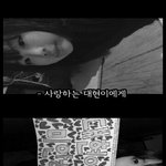 홍영기 따라하기