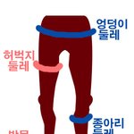 예뻐보이는 다리 <b>비율</b>이래요 ★