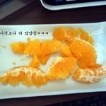 사진有)★★★피토하듯이 <b>한라</b>봉 토한 친구★★★