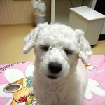 ★★개판☆☆사진有/동영상有★★개판☆☆사진有/동영상有★★
