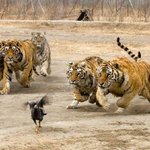 <b>심약</b>자나 노약자 어린이들은 삼가해주세요