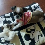 사진有/♥♥남친이 만든 클레이 자랑~★★