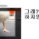 감기걸린인슾과 함께하는 <b>댓글놀이</b>3!!