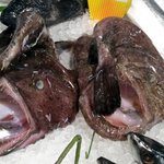 사진有)흔한 예비대학생의 마트 <b>수산물</b>코너 일상놀이 5 반응좋으면...