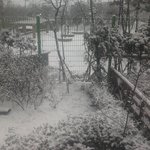 ●경기도라인●