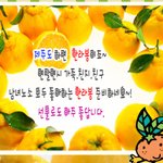 택배로 배달온 음식물쓰레기 : '(