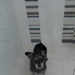 ★☆★☆★이름만큼달달하지않은우리집슈가★☆★☆★