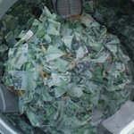 어째서 왜 나에게 이런일이..[사진有]