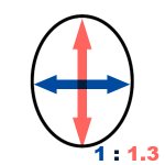 얼굴 비율 , 조화로운 얼굴 알아보기 ★ (복잡함.ㅠ)