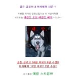 김연아를 능가하는 <b>우먼</b> 파워!
