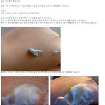 세<b>안후</b> 당기는피부인 사람들은 블랙퓨어클렌징쓰기~